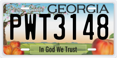 GA license plate PWT3148
