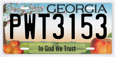 GA license plate PWT3153