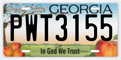 GA license plate PWT3155