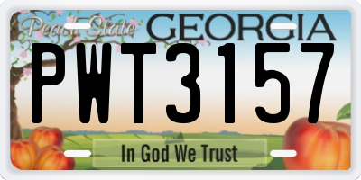 GA license plate PWT3157