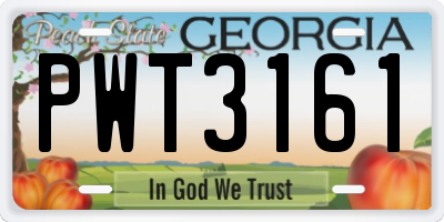 GA license plate PWT3161