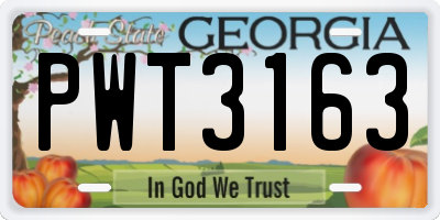 GA license plate PWT3163