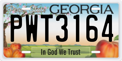 GA license plate PWT3164