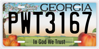 GA license plate PWT3167