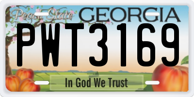GA license plate PWT3169