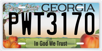GA license plate PWT3170