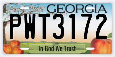 GA license plate PWT3172