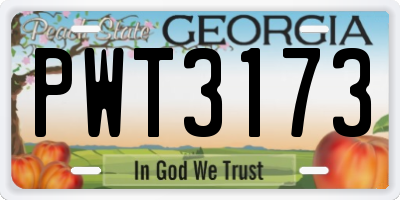 GA license plate PWT3173
