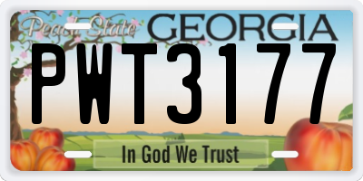 GA license plate PWT3177