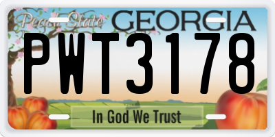 GA license plate PWT3178