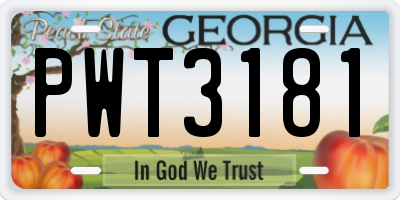 GA license plate PWT3181