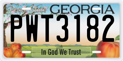 GA license plate PWT3182