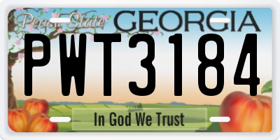 GA license plate PWT3184