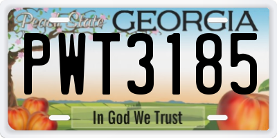GA license plate PWT3185