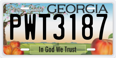 GA license plate PWT3187