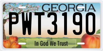 GA license plate PWT3190