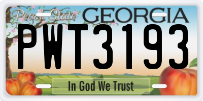 GA license plate PWT3193