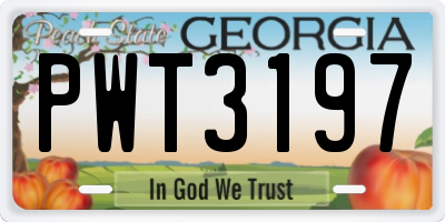 GA license plate PWT3197