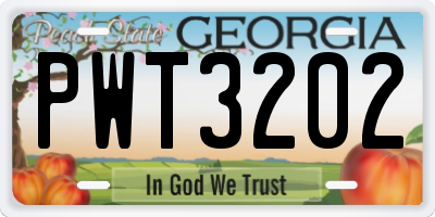 GA license plate PWT3202