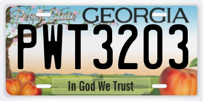GA license plate PWT3203