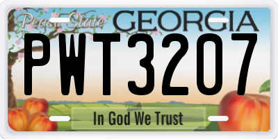 GA license plate PWT3207