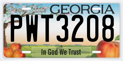 GA license plate PWT3208