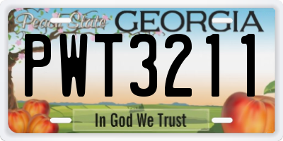 GA license plate PWT3211