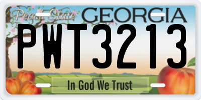 GA license plate PWT3213