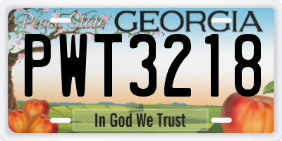 GA license plate PWT3218