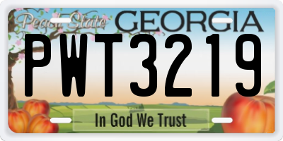 GA license plate PWT3219