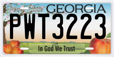 GA license plate PWT3223