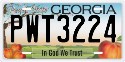 GA license plate PWT3224