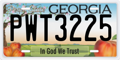 GA license plate PWT3225