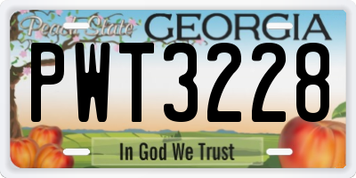 GA license plate PWT3228