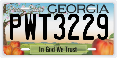 GA license plate PWT3229