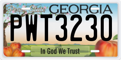 GA license plate PWT3230