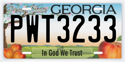 GA license plate PWT3233