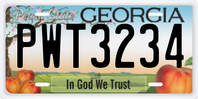 GA license plate PWT3234