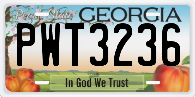 GA license plate PWT3236