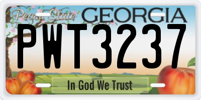 GA license plate PWT3237