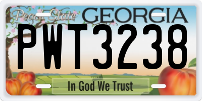 GA license plate PWT3238