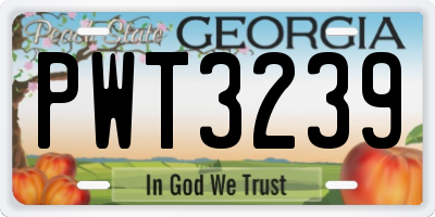 GA license plate PWT3239