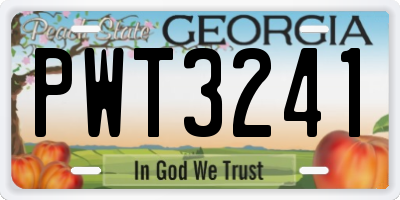 GA license plate PWT3241