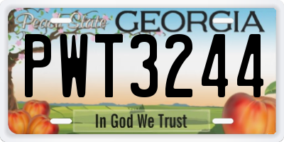 GA license plate PWT3244