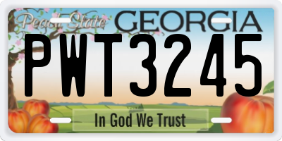 GA license plate PWT3245