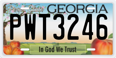 GA license plate PWT3246