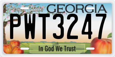 GA license plate PWT3247
