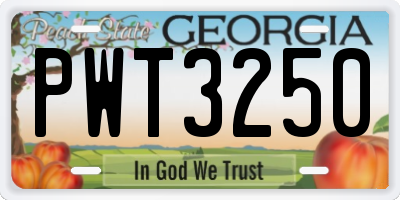GA license plate PWT3250