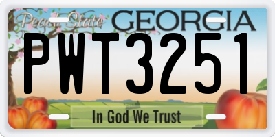 GA license plate PWT3251