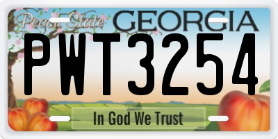 GA license plate PWT3254